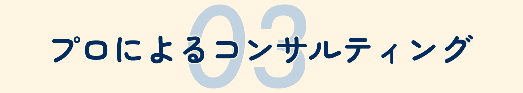 03プロによるコンサルティング