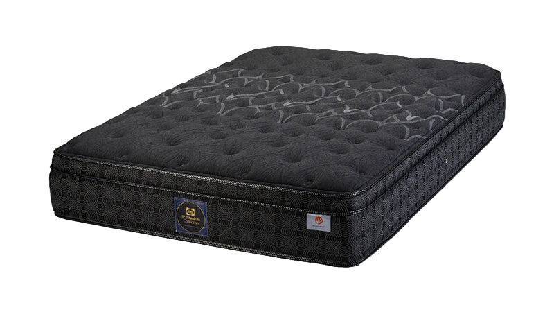 Sealy｜エバンス3