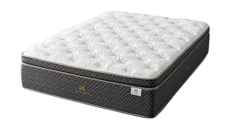 Sealy｜ガーナイト4