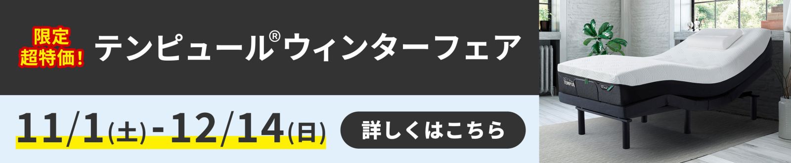 テンピュール®ウィンターフェア - 11/1~12/14 -